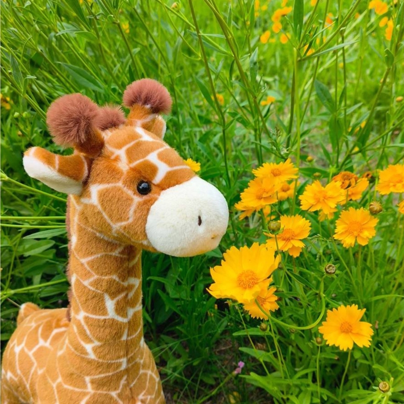Very Soft Giraffe Plush Toy Fo - Kids Toys Very のレビューと価格