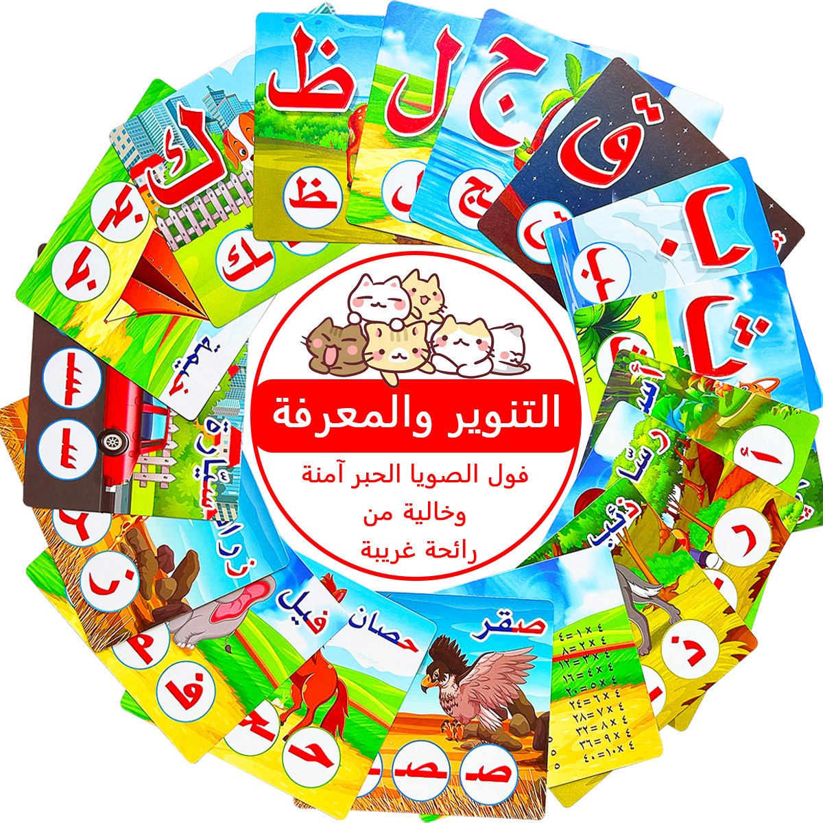 28Pcs Double Sided Arabic Alph - Educational Flash Card のレビューと価格